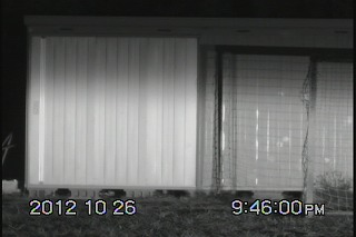 撮影シーン　WATEC高感度カメラ+赤外線投光器